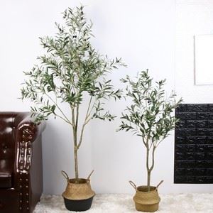 کیوں مصنوعی زیتون کے درخت زندگی میں زیادہ اور زیادہ مقبول ہیں؟